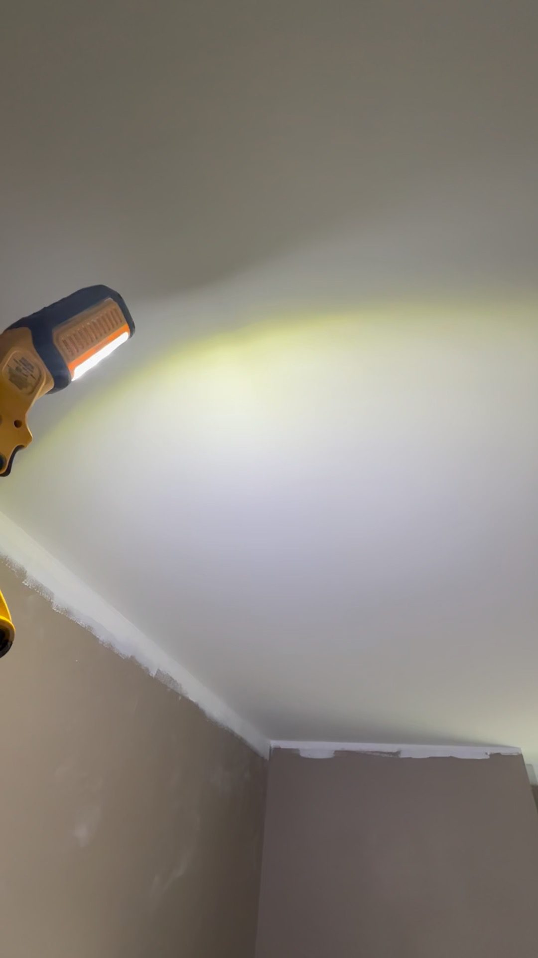 Ceiling Inspection