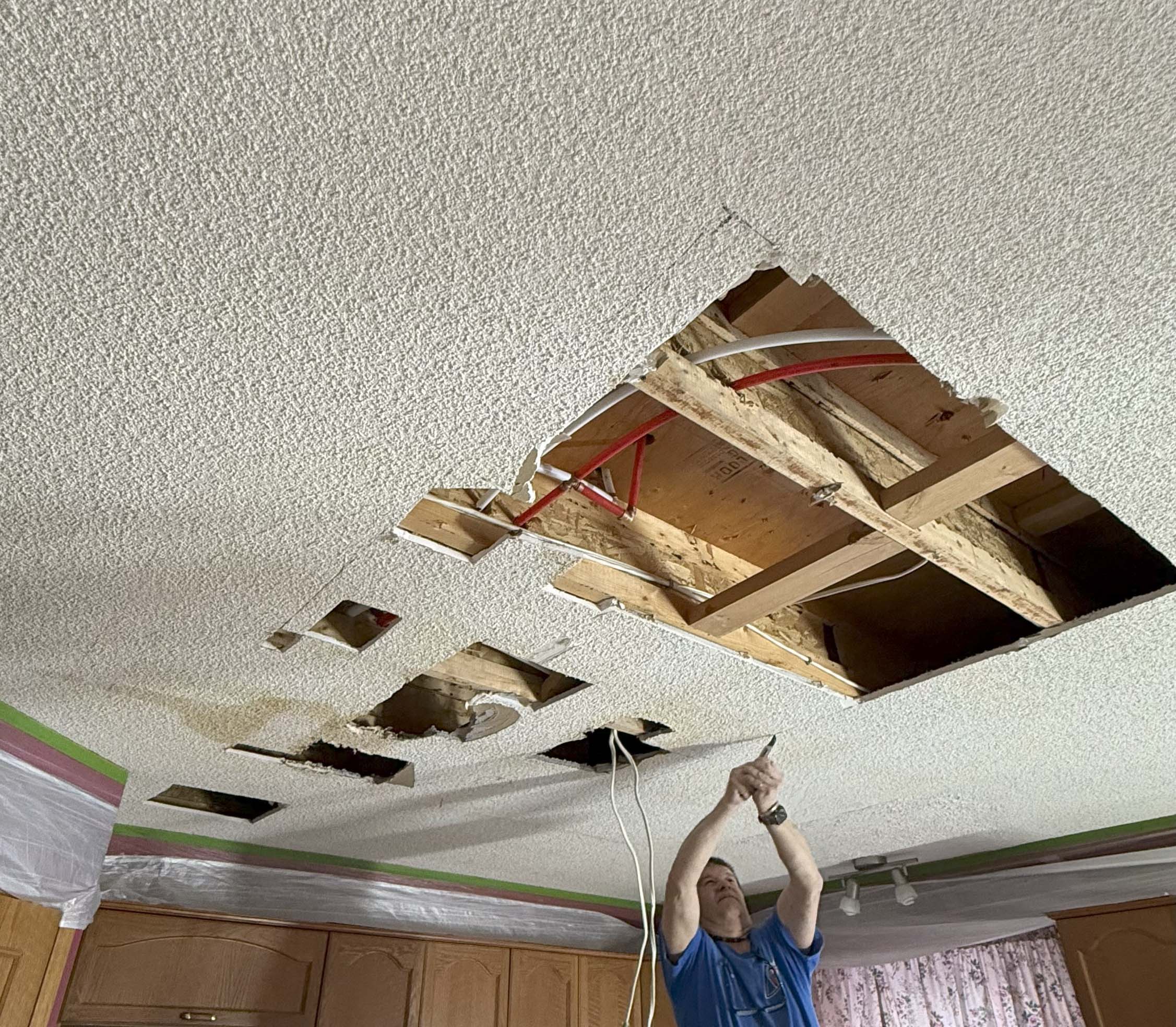 Ceiling Repair