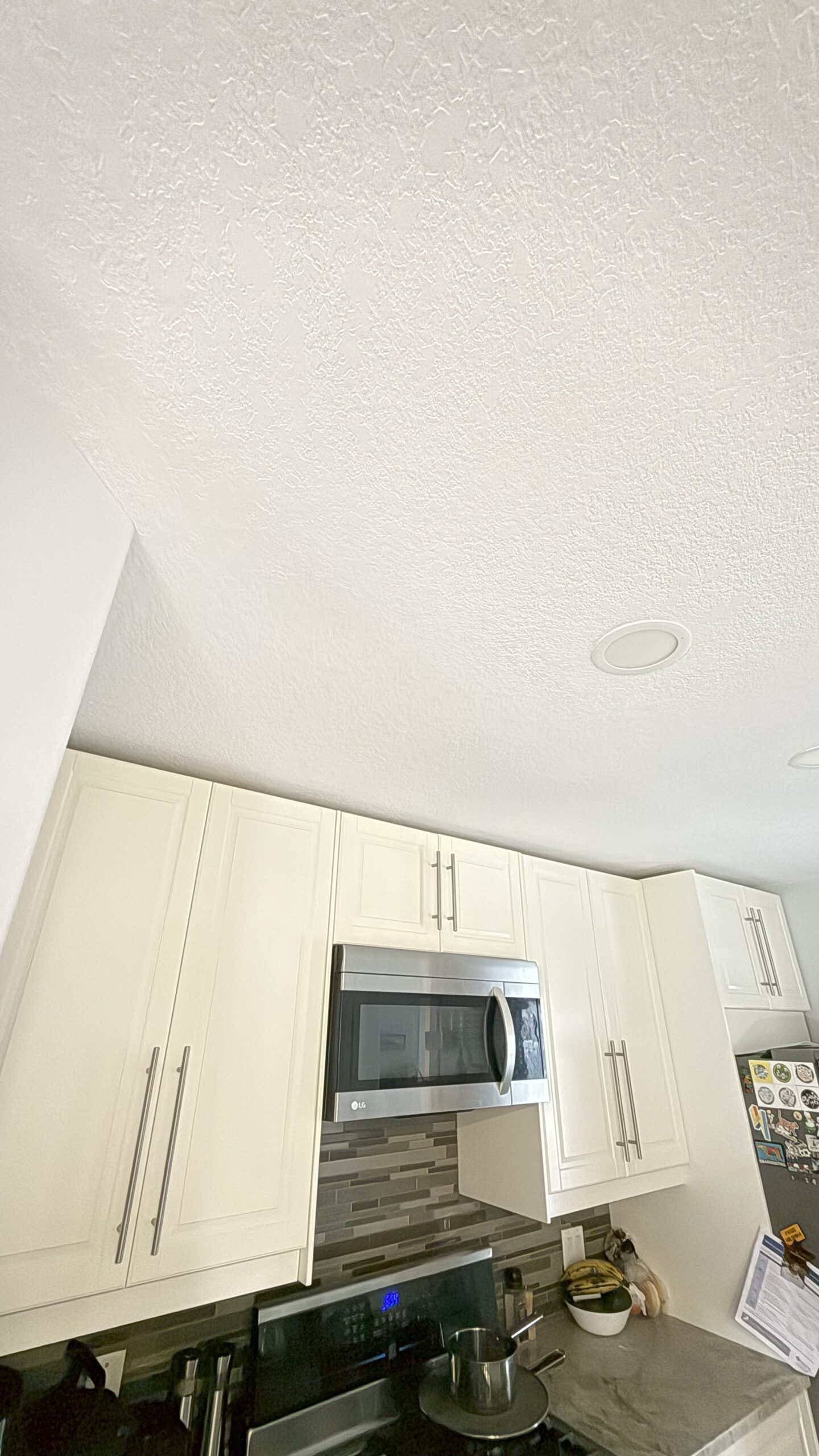 Ceiling Repair